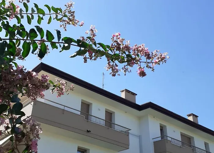 Lägenhet Casanita *